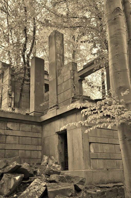 Fragmente Schloss Dwasieden im Wald nahe der Steilküste bei Sassnitz, Sandstein und Granit