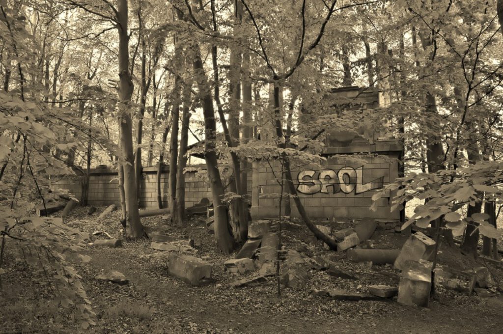Fragmente Schloss Dwasieden im Wald nahe der Steilküste bei Sassnitz, Sandstein und Granit