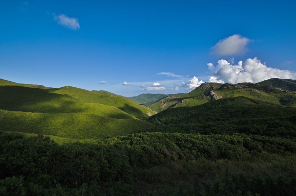 Die D35 auf Cap Corse, von antiken Pfaden zur Departementsstraße