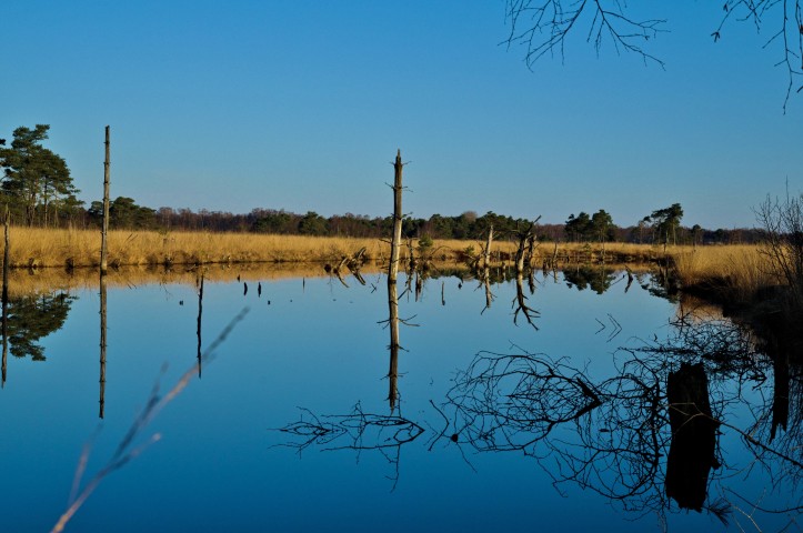 Wasserfläche ehemaliger Torfstich