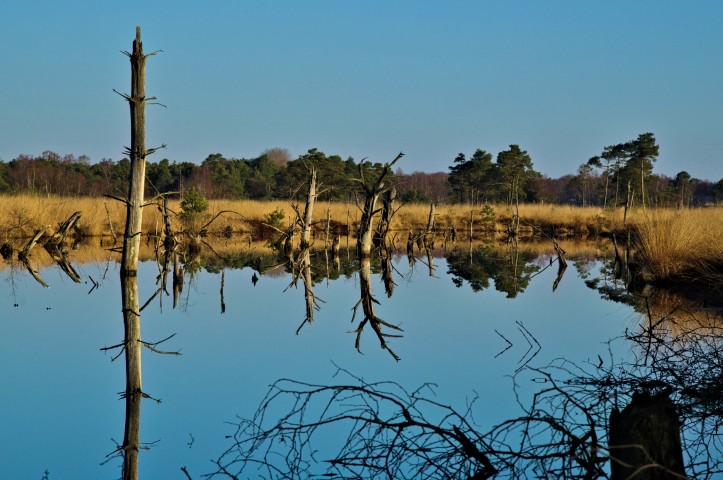 Wasserfläche ehemaliger Torfstich