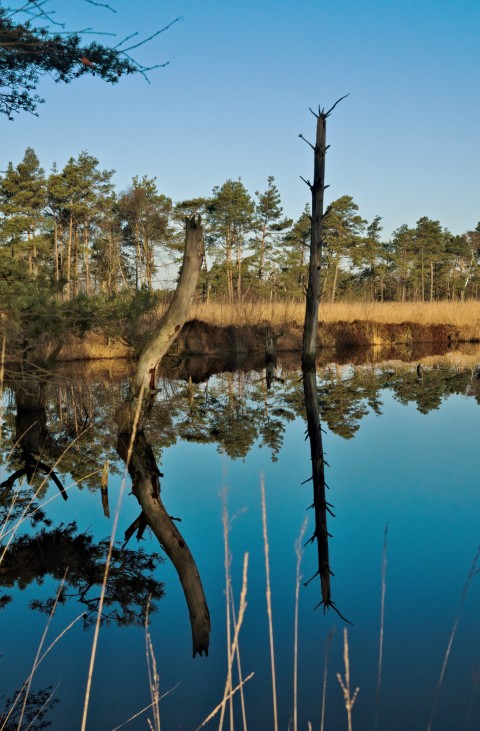 Wasserfläche ehemaliger Torfstich