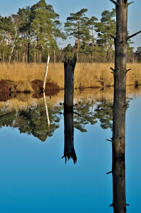 Wasserfläche ehemaliger Torfstich