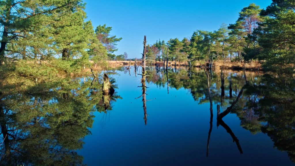 Wasserfläche ehemaliger Torfstich