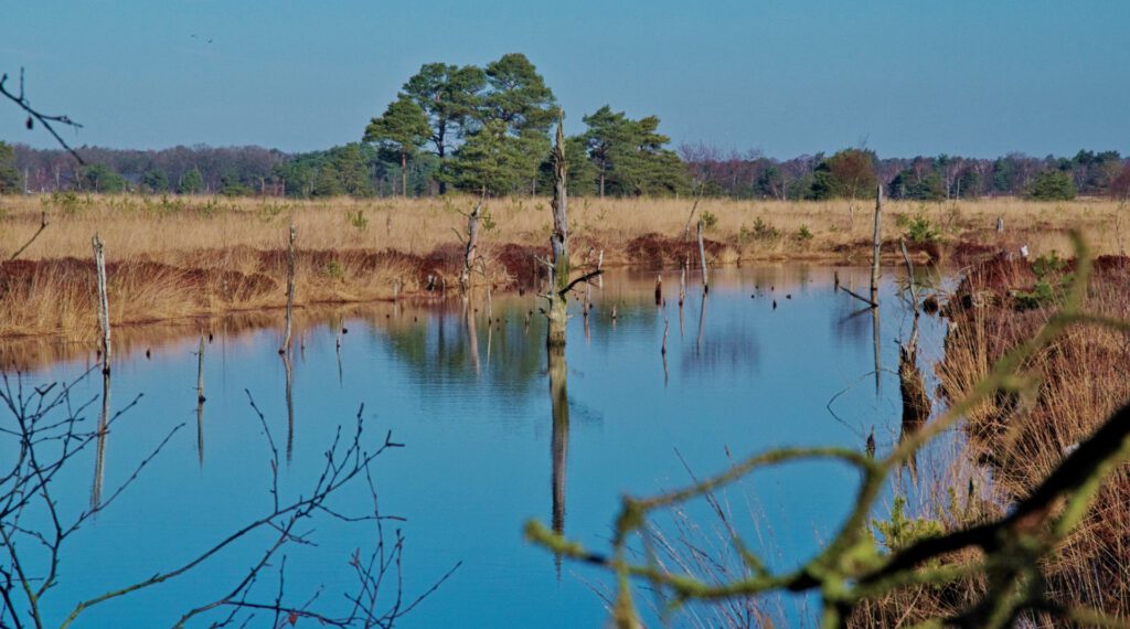 Wasserfläche ehemaliger Torfstich