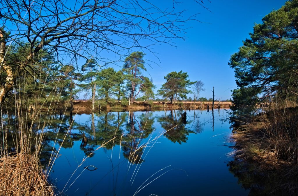 Wasserfläche ehemaliger Torfstich