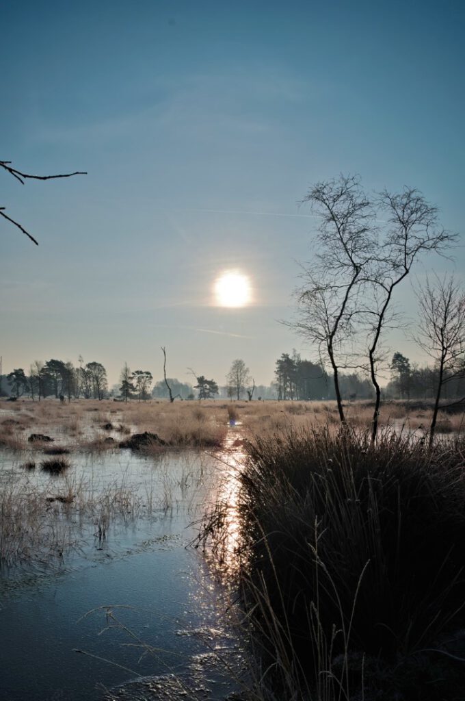 Sonnenaufgang - offene Torfflächen im Pietzmoor