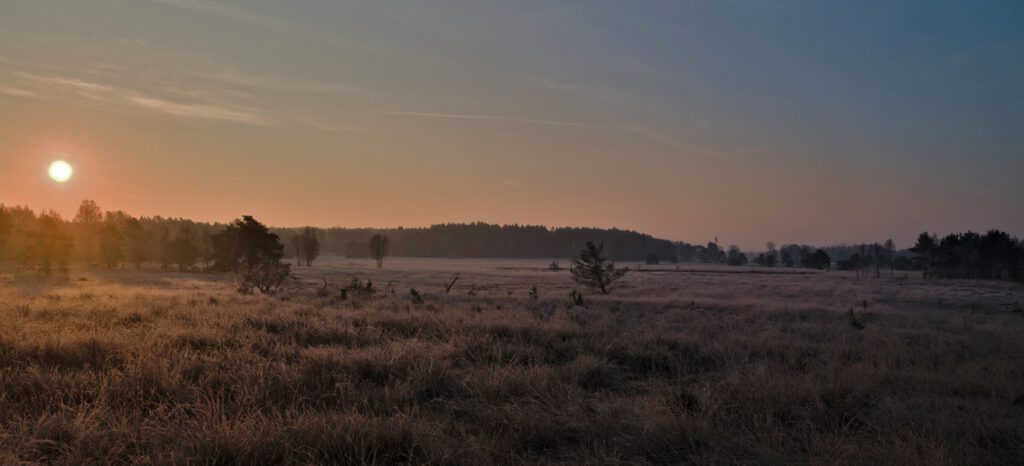 Offene Torfflächen im Pietzmoor