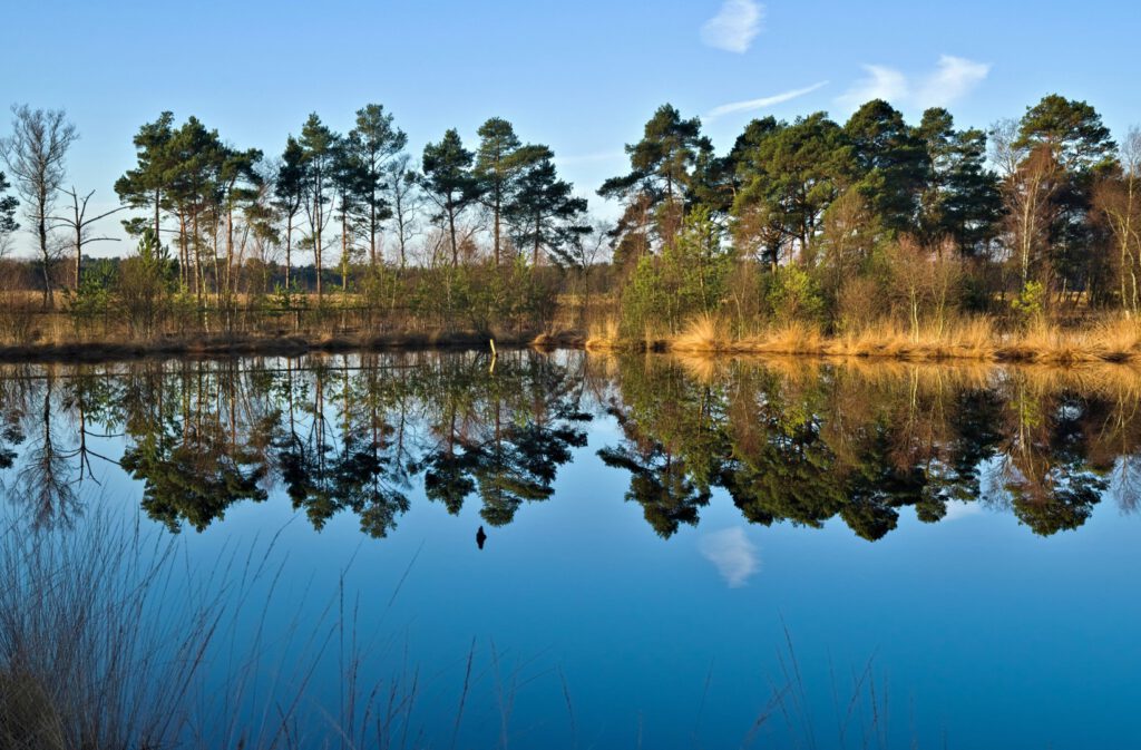 Wasserfläche ehemaliger Torfstich