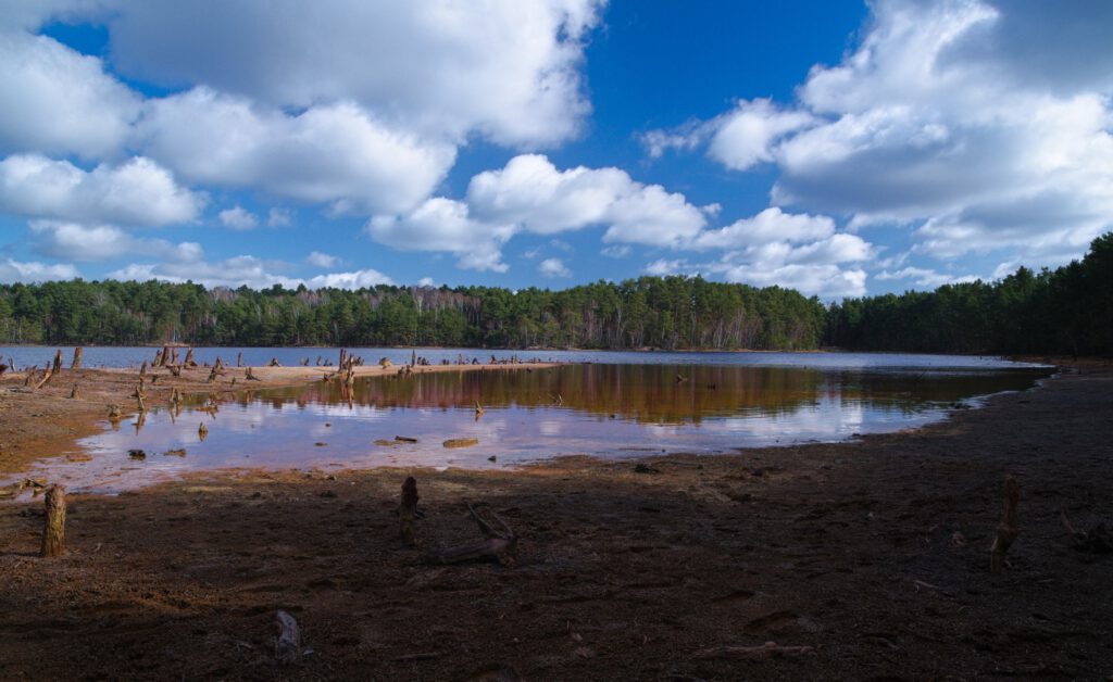 Rot gefärbter Tagebausee in der Lausitz mit ruhiger Wasseroberfläche