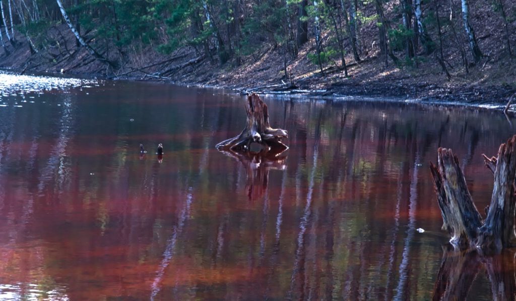 Rötlich gefärbtes Wasser eines Restlochs in ehemaligem Braunkohletagebau