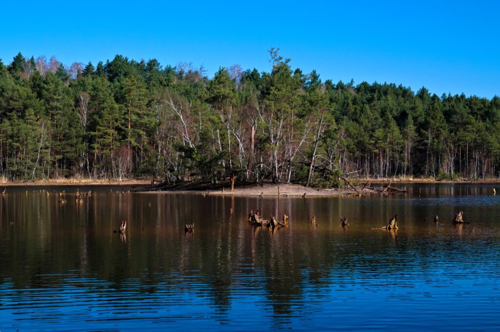 Rot gefärbter Tagebausee in der Lausitz mit ruhiger Wasseroberfläche