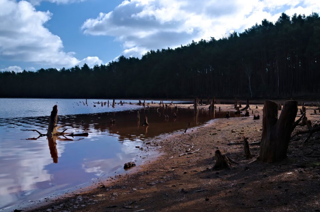 Rot gefärbter Tagebausee in der Lausitz mit ruhiger Wasseroberfläche