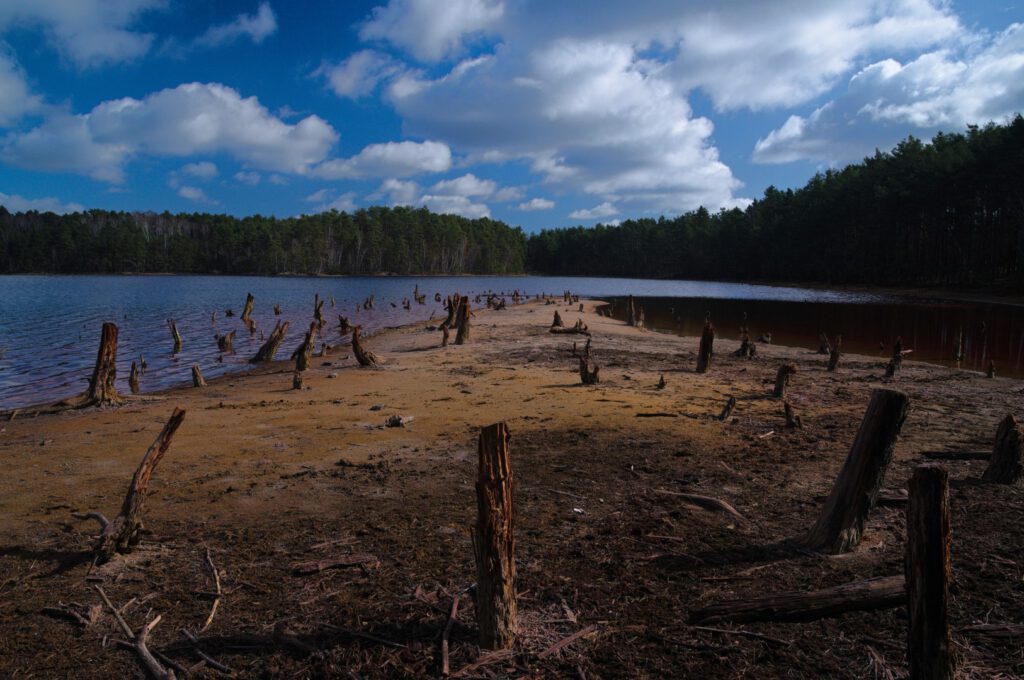 Rot gefärbter Tagebausee in der Lausitz mit ruhiger Wasseroberfläche
