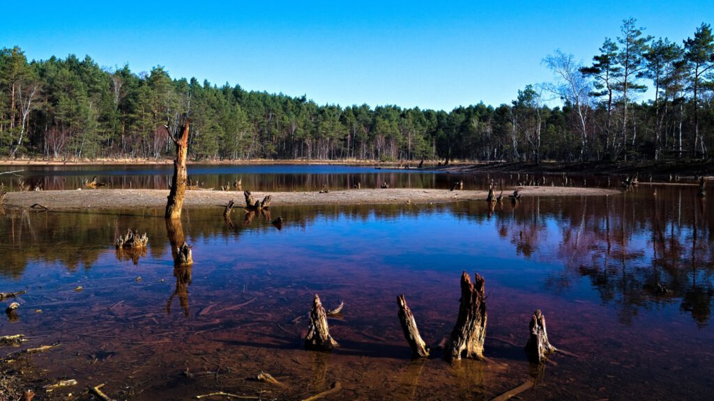 Rot gefärbter Tagebausee in der Lausitz mit ruhiger Wasseroberfläche