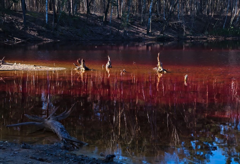 Rötlich gefärbtes Wasser eines Restlochs in ehemaligem Braunkohletagebau