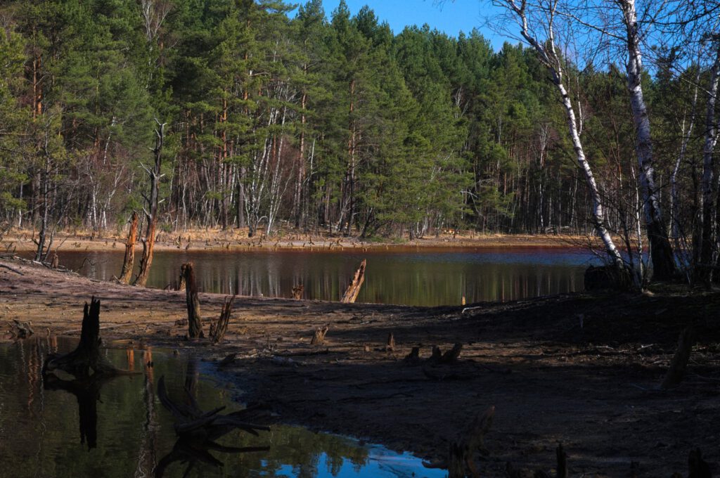 Rot gefärbter Tagebausee in der Lausitz mit ruhiger Wasseroberfläche