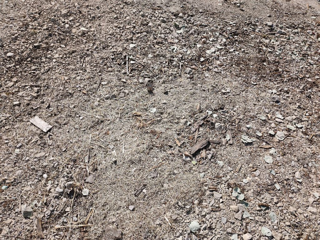 Ich stehe am Rande einer Baustelle.