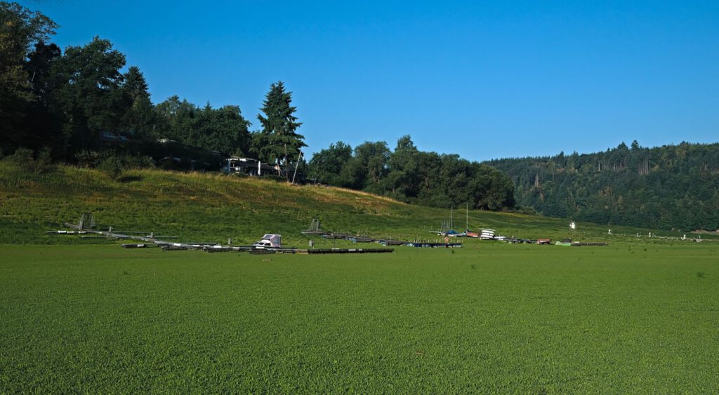 Stillgelegte Bootsanleger auf dem dicht bewachsenen Speicherboden des Edersees bei Niedrigwasser